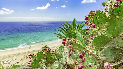 Kanaren und Madeira mit Mein Schiff 1 