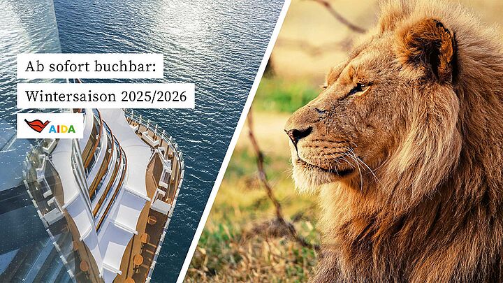 Die AIDA Winterrouten 2025/2026 – ab sofort buchbar!