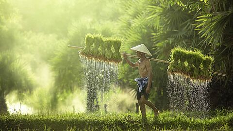 Vietnam und Kambodscha 