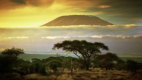 Karibu Kenia 