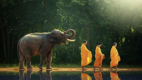Indien 