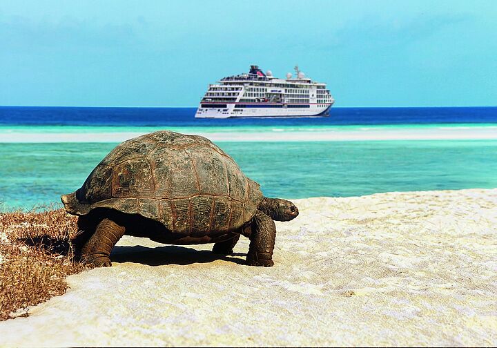 Zugang statt Oberfläche: Wie Hapag-Lloyd Cruises Expedition im Indischen Ozean vertieft