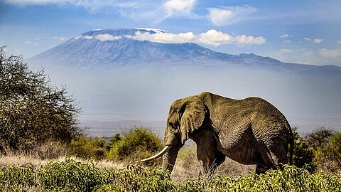 Karibu Kenia 