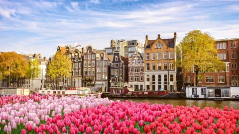 Amsterdam ©AdobeStock_248769121 