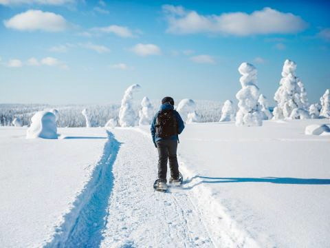 Schneeschuhwanderung ©nblxer/stock.adobe.com - vianova 