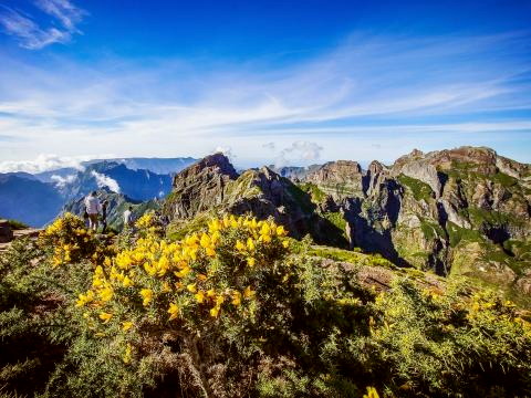 Madeira Natur 