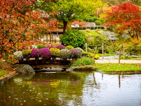Japanischer Garten in Hasselt Belgien 