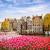 Amsterdam ©AdobeStock_248769121
