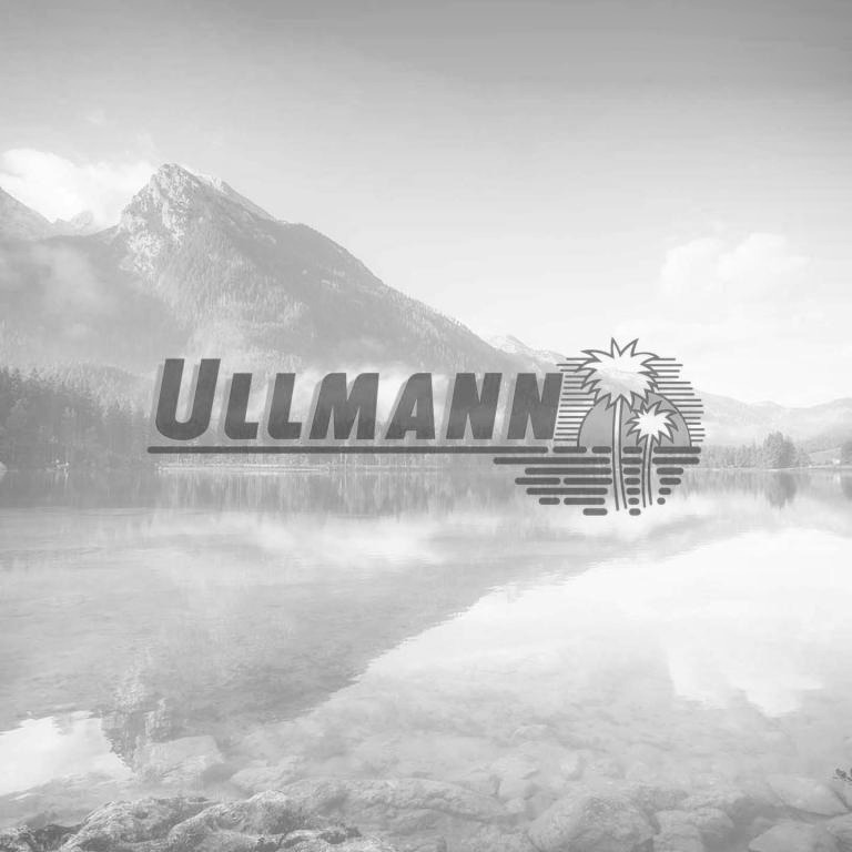 Ullmann Bus